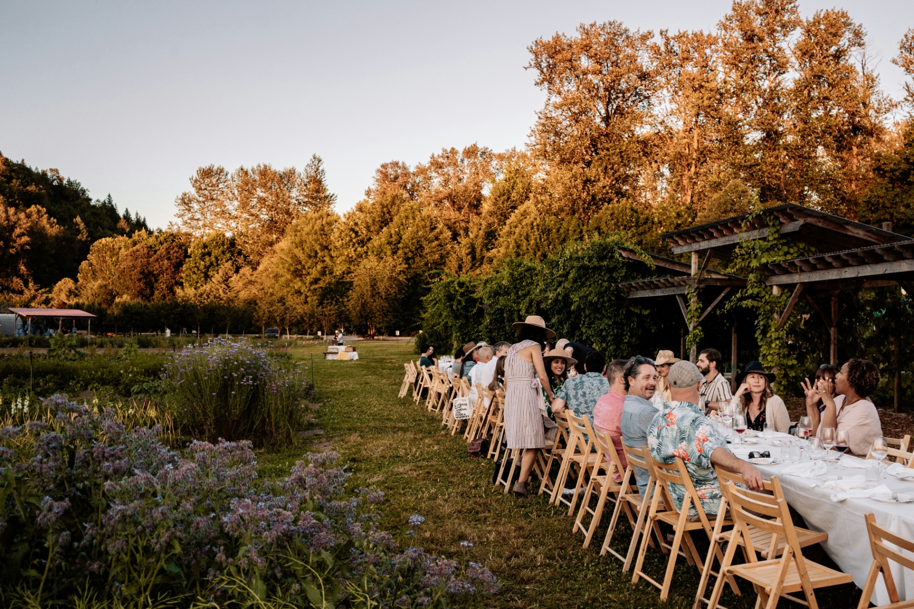 Guests gathered around a long communal table for a farm-to-table dinner at golden hour