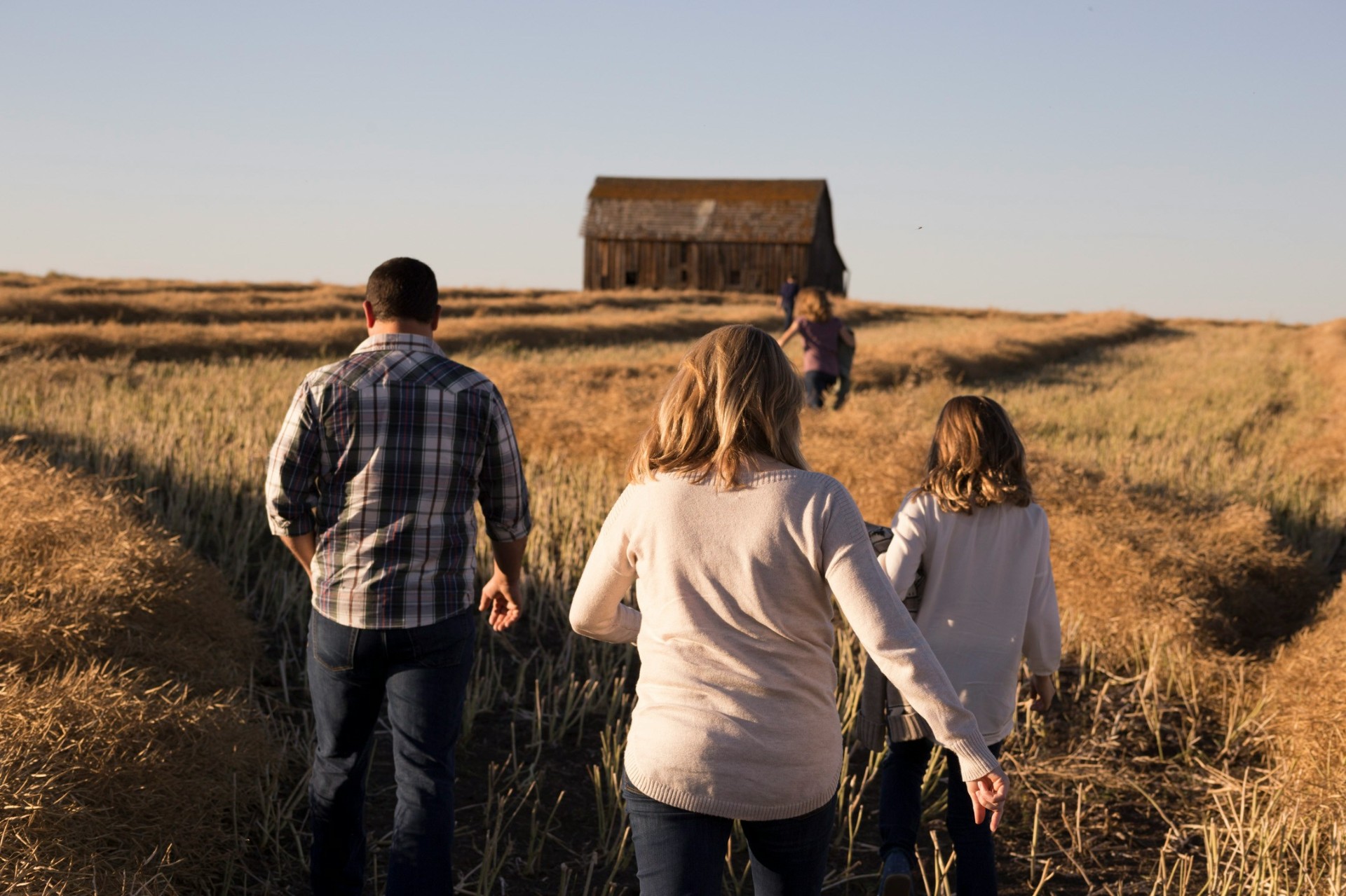 A family walking together through a golden prairie field toward a weathered wooden barn at sunset